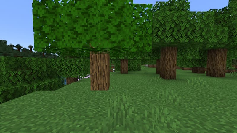 Hidden Tree Base