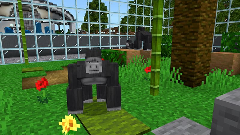 ZOO!