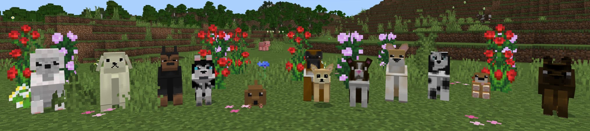 Pets: Dogs