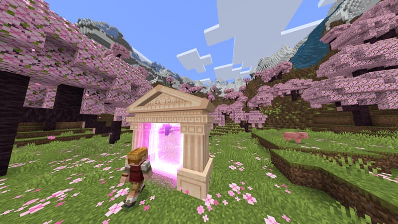 Teleporters Add On