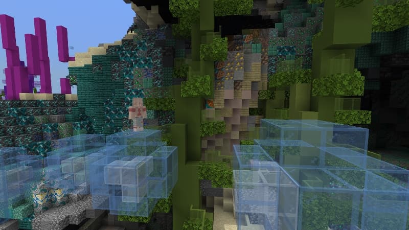 Coral Parkour