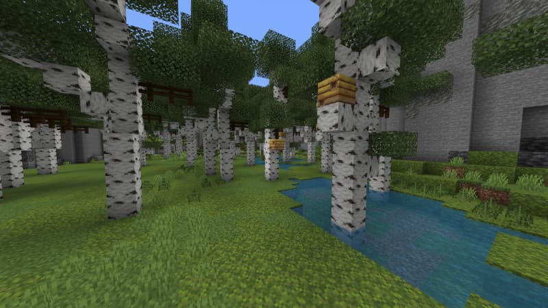 The Maze