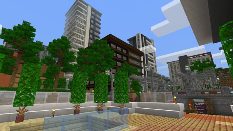City Survival