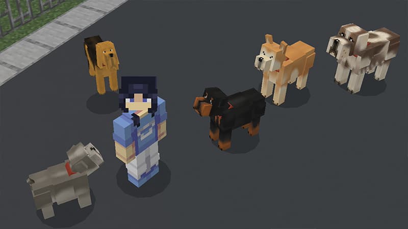 Dogs!