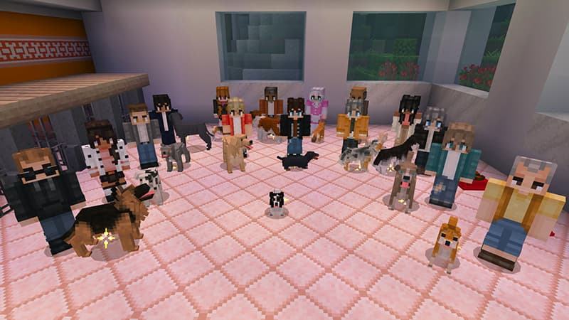 Doggie Daycare