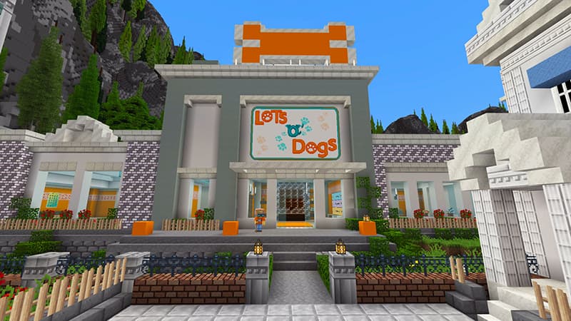 Doggie Daycare