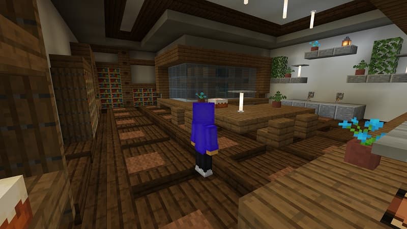 Secret Cave Mansion