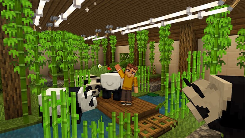 Ninjas Secret Base