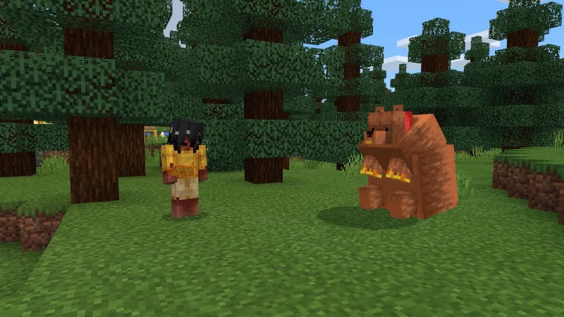 Bears