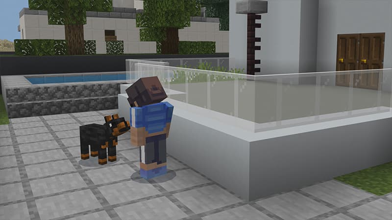 PETS!