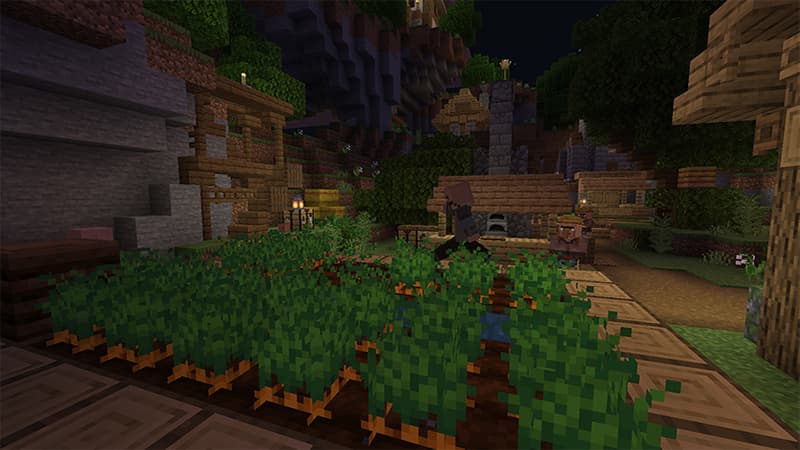 Advanced Village