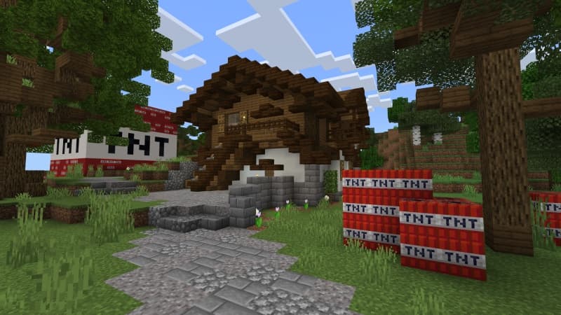 TNT Village