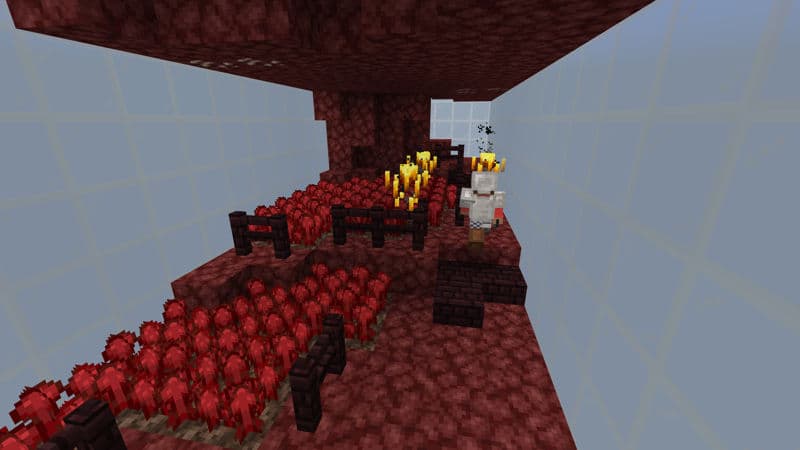 Antfarm Challenge