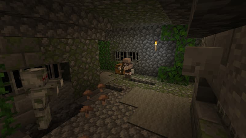 Capsule Biomes