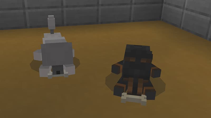 PETS!