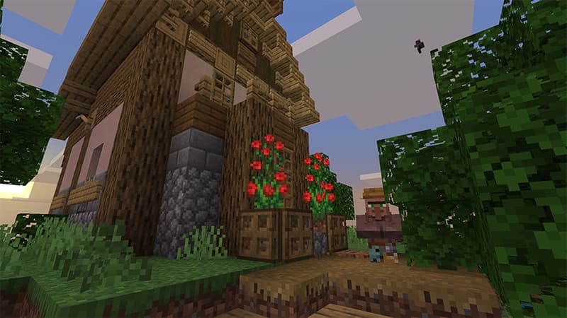 Advanced Village