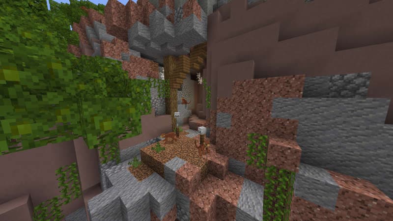 Monkeys Paradise