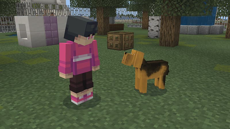 Dogs!