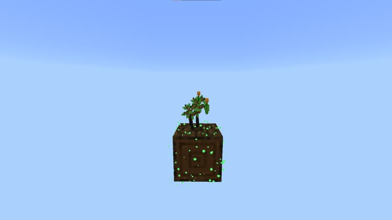 One Block Original