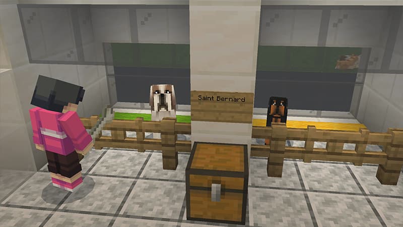 Dogs!