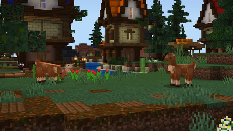 Survival Plus: Forest Animals