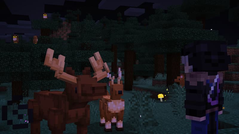 Survival Plus: Forest Animals