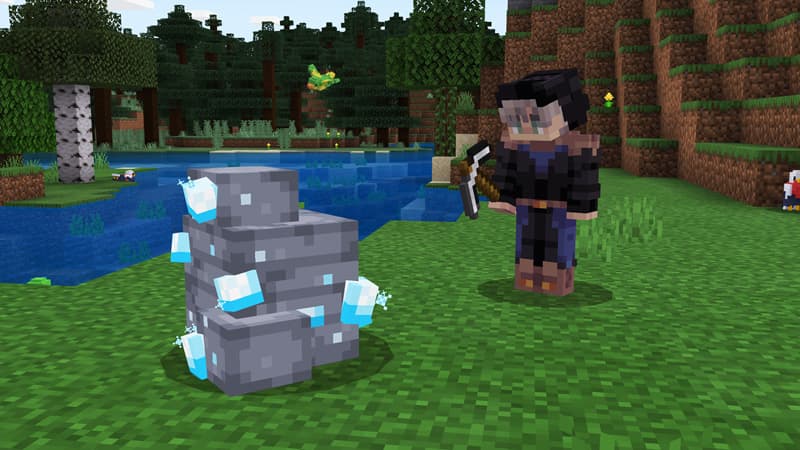 Survival Plus: Forest Animals